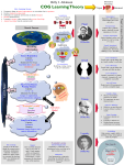 Cognitivism Learning Theory Infographic